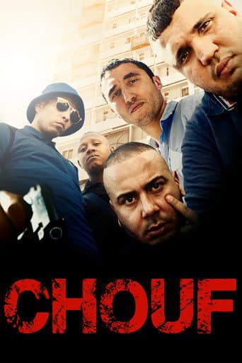 Affiche de Chouf