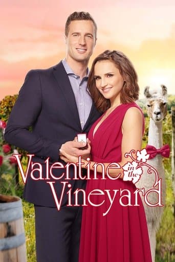Affiche de Une idylle de Saint-Valentin