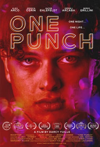 Affiche de One Punch
