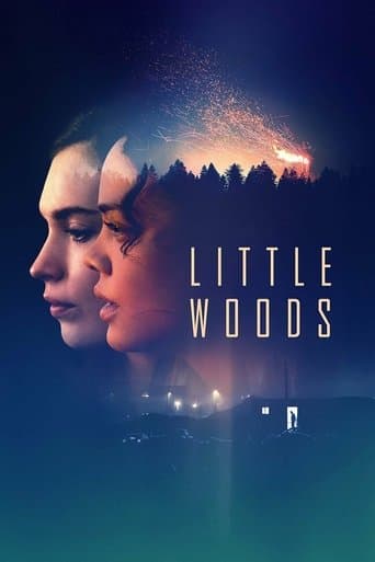 Affiche de Little Woods