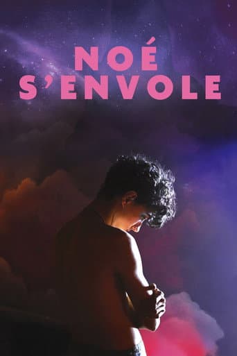Affiche de Noé s'envole