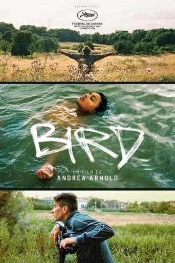 Affiche de Bird
