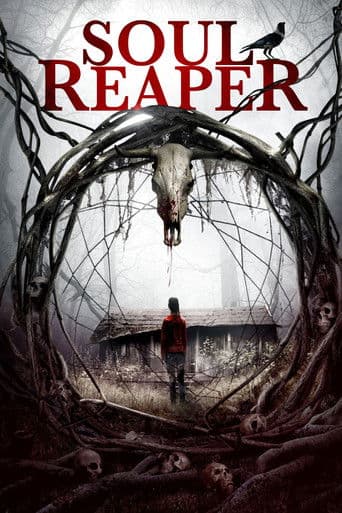 Affiche de Soul Reaper