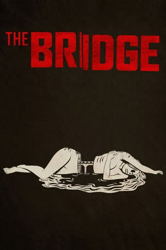 Affiche de The Bridge