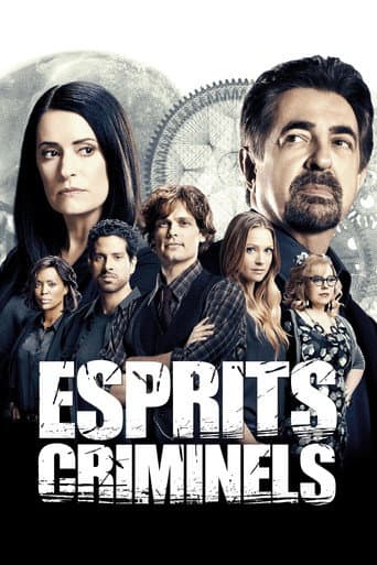 Affiche de Esprits criminels