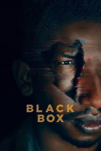Affiche de La Black Box