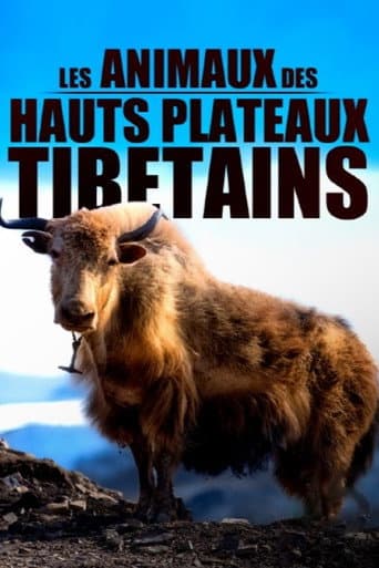 Affiche de Les animaux des hauts plateaux tibétains