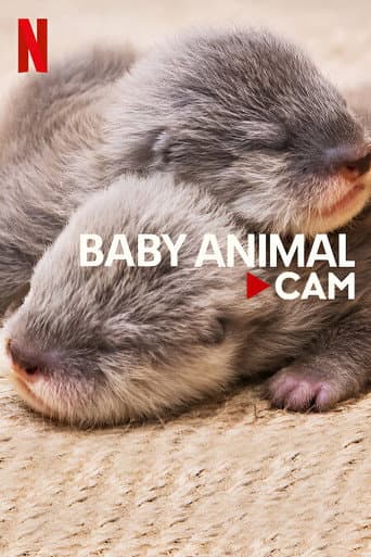 Affiche de Bébés animaux en direct