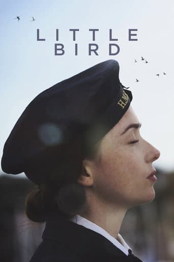 Affiche de Little Bird