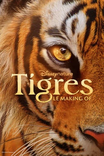Affiche de Tigres : le making of