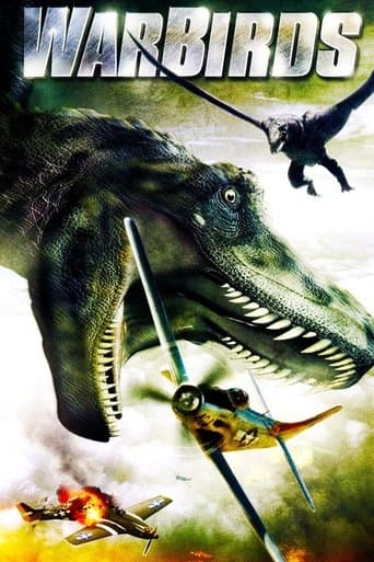 Affiche de Warbirds