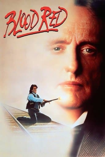 Affiche de Un fusil pour l'honneur