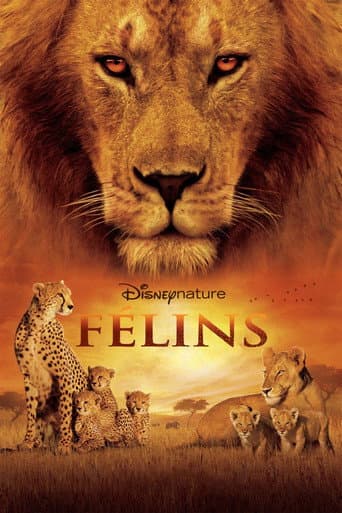 Affiche de Félins
