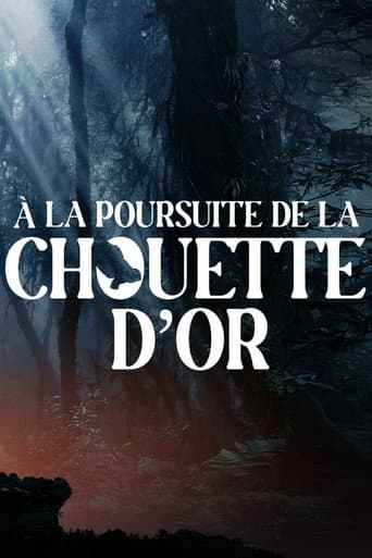 Affiche de À la poursuite de la chouette d'or