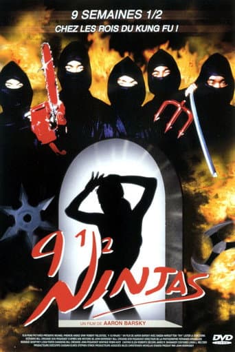 Affiche de 9 ninjas et demi