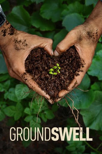 Affiche de Groundswell