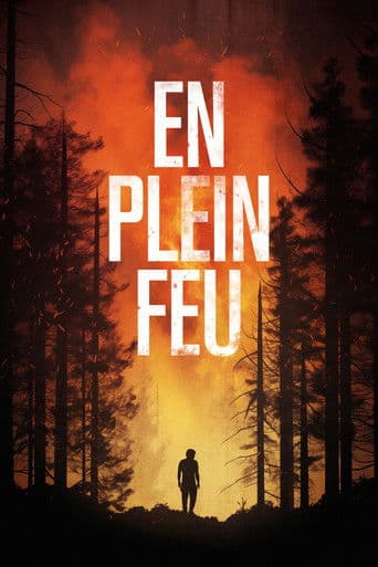 Affiche de En plein feu