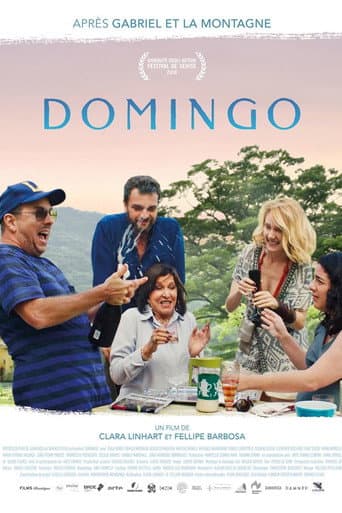 Affiche de Domingo