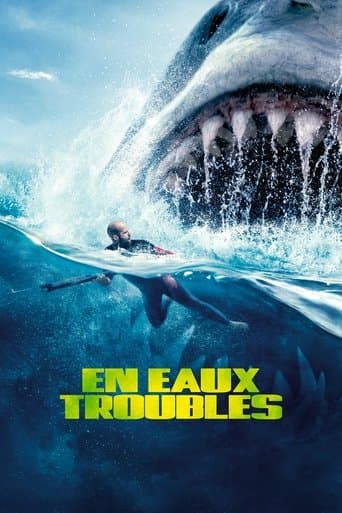 Affiche de En eaux troubles