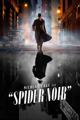 Affiche de Spider-Noir