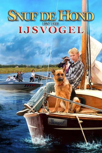 Affiche de Truffe et les voleurs