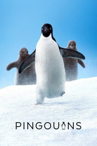 Affiche de Pingouins