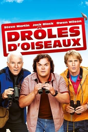 Affiche de Drôles d'Oiseaux