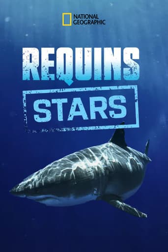 Affiche de Requins stars