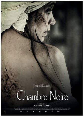 Affiche de La chambre noire