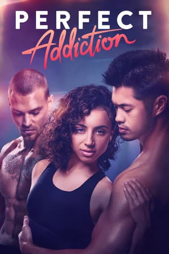 Affiche de Perfect Addiction