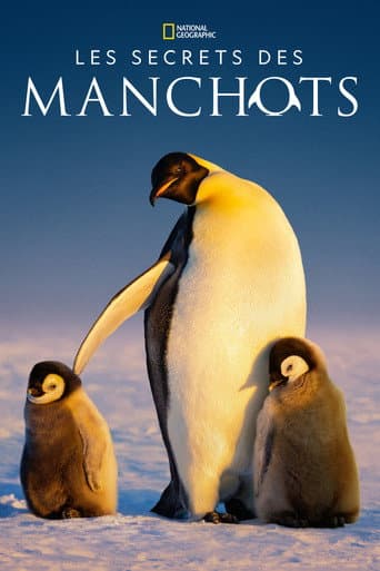 Affiche de Les Secrets des manchots