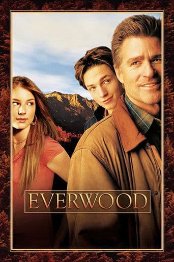 Affiche de Everwood