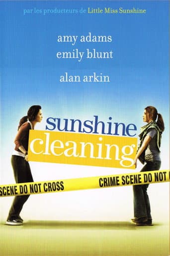 Affiche de Sunshine Cleaning