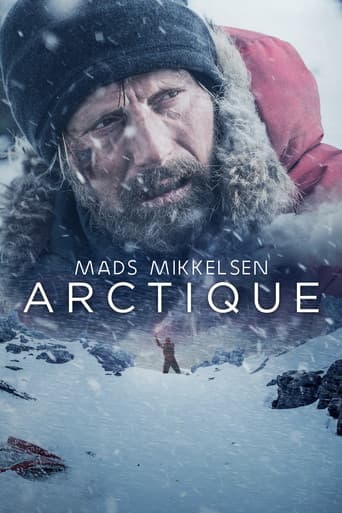 Affiche de Arctic