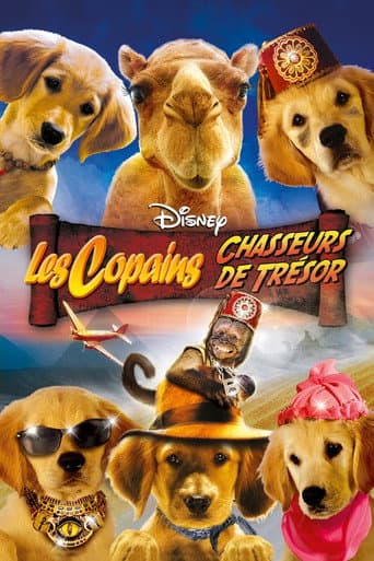Affiche de Les Copains chasseurs de trésor