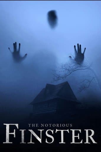 Affiche de The Notorious Finster