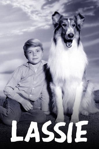 Affiche de Lassie