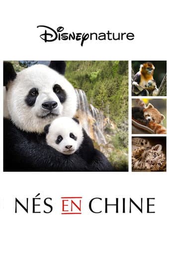 Affiche de Nés en Chine