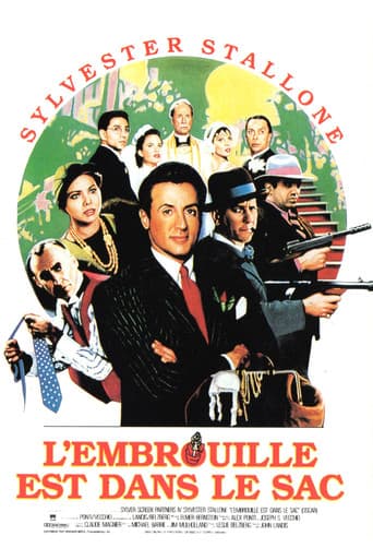 Affiche de L'Embrouille est dans le sac