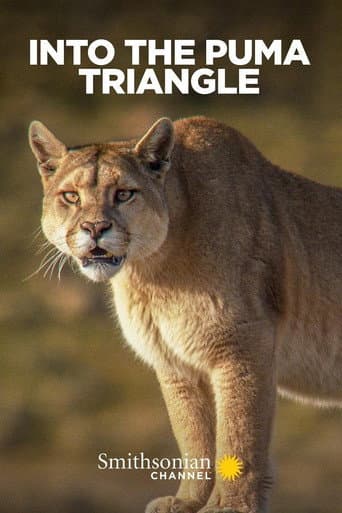 Affiche de Dans le triangle des pumas