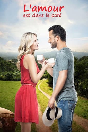 Affiche de L'amour est dans le café