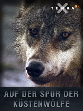 Affiche de Auf der Spur der Küstenwölfe