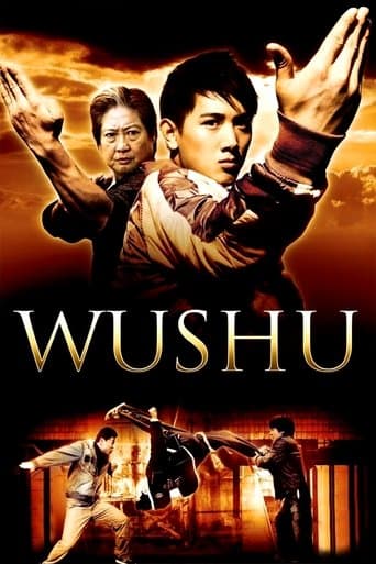 Affiche de Wushu