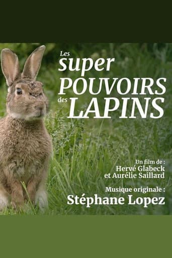 Affiche de Les super pouvoirs du lapin