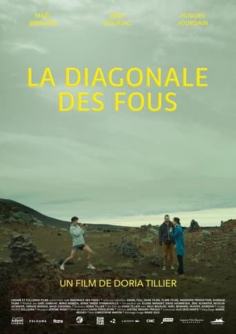 Affiche de La diagonale des fous