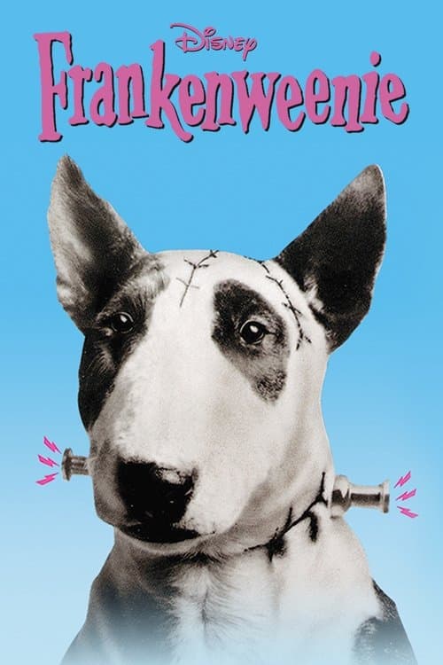 Affiche de Frankenweenie