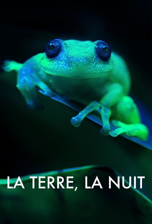 Affiche de La Terre, La Nuit
