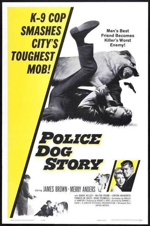 Affiche de Police Dog Story