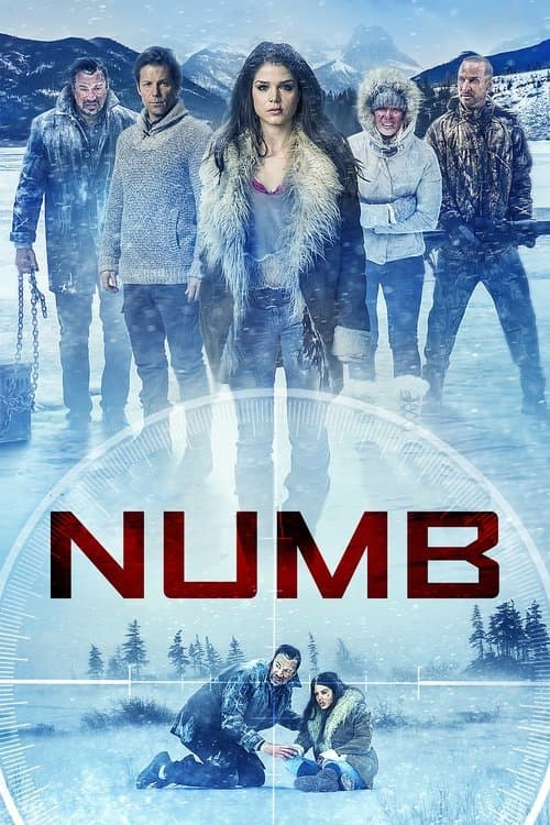 Affiche de Numb