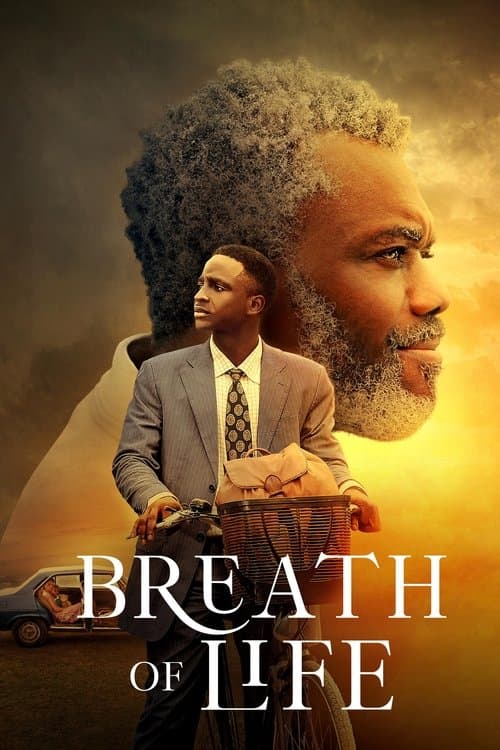 Affiche de Un souffle de vie